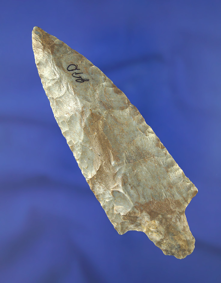 5" Smithsonia - Ft. Payne Chert. Found near Defeated Creek in Smith Co., TN. Davis COA.