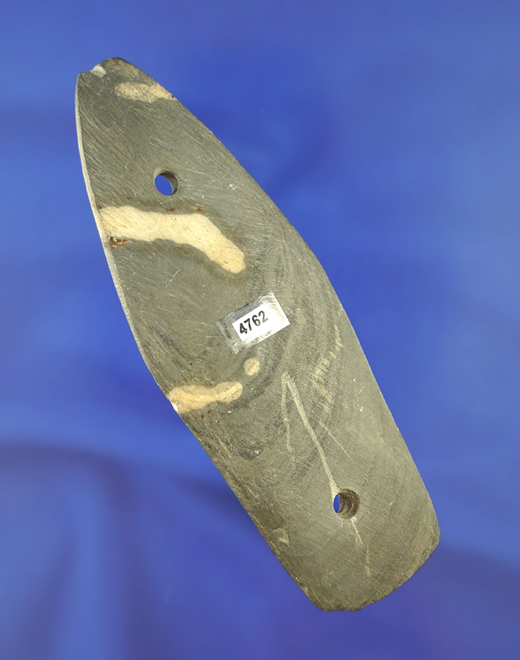 Well styled 4 5/16" Glacial Kame Gorget made from nicely banded slate with worm tracks - Ohio.