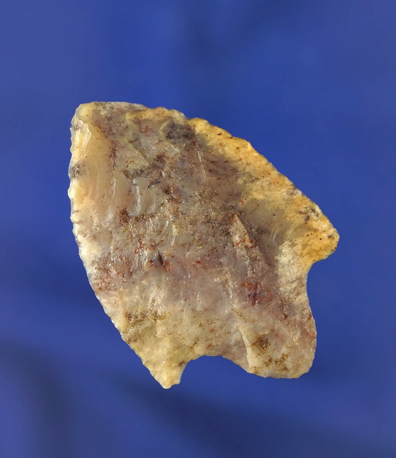 2 1/8" Cypress Creek made from beautifully colored material. Found in Pasco/Pinellas Co.,  FL.