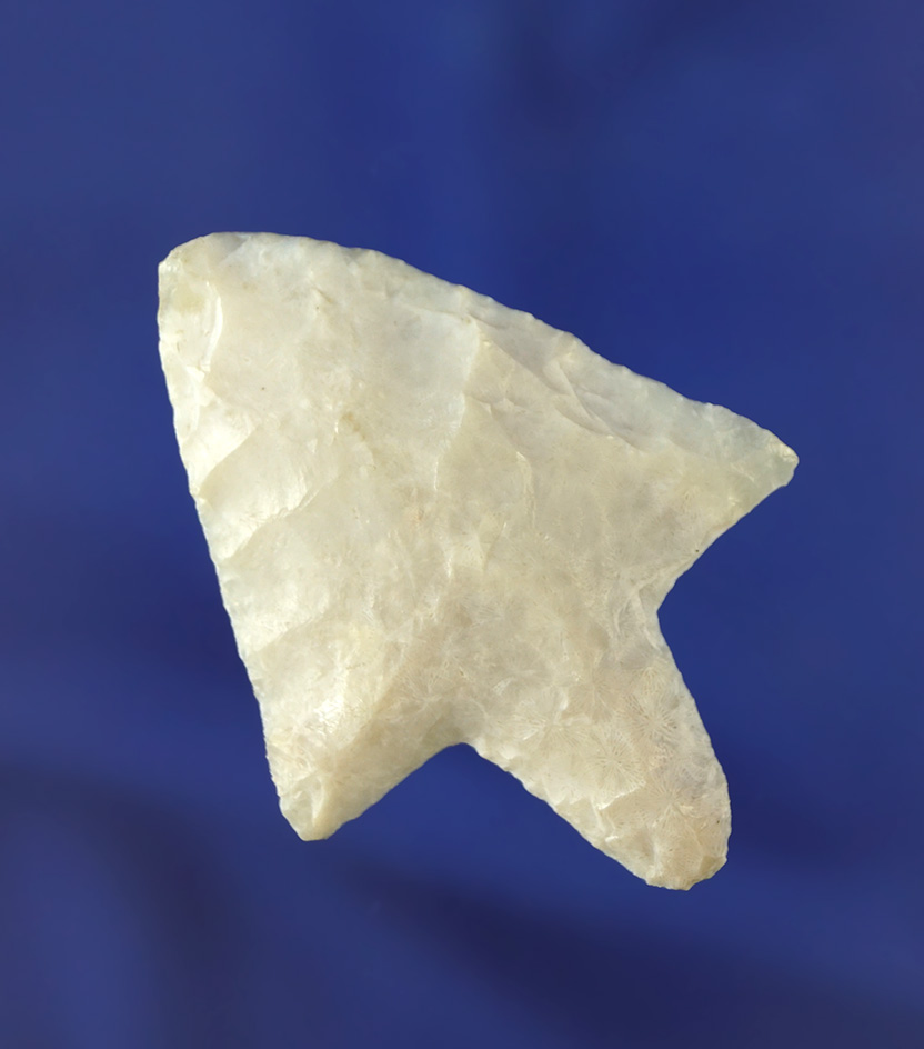 2 1/8" Marion that is nicely styled from high quality material. Found in Pasco/Pinellas Co.,  FL.