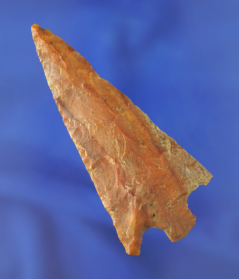 3 1/8" Hernando that is well patinated. Found in Pasco/Pinellas Co.,  Florida. Pictured