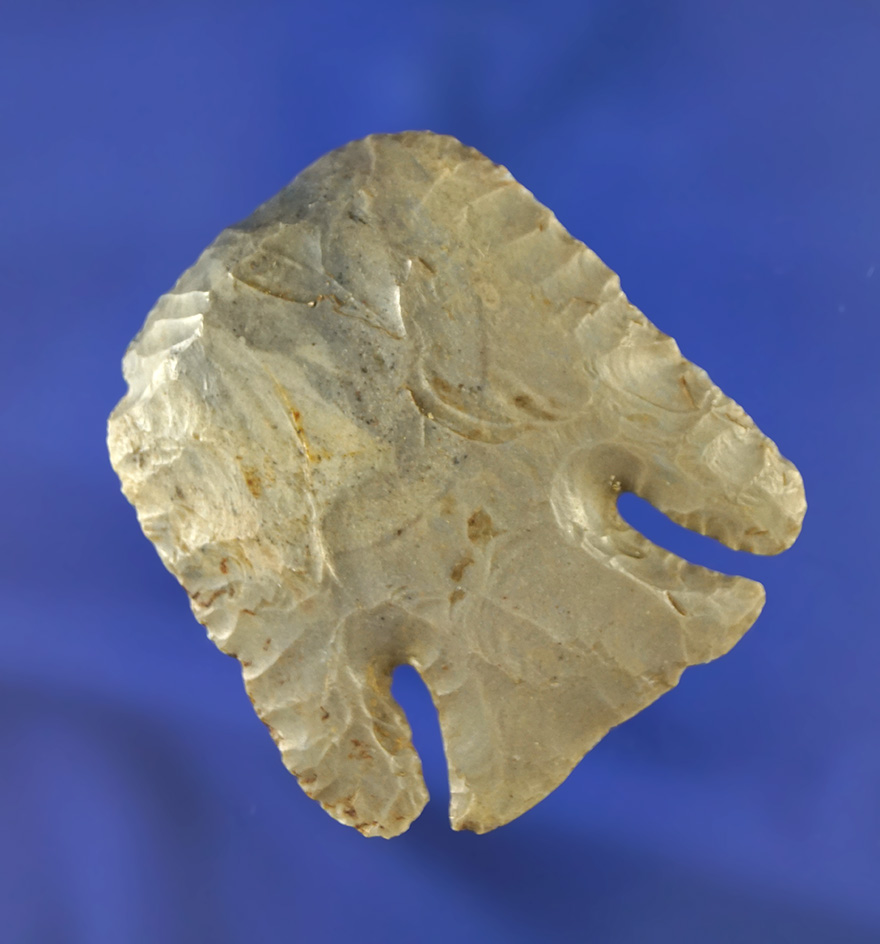 2 1/16" rare style Hornstone Lost Lake Hafted Scraper found by Earl Bohrer in Spencer Co.,  IN.