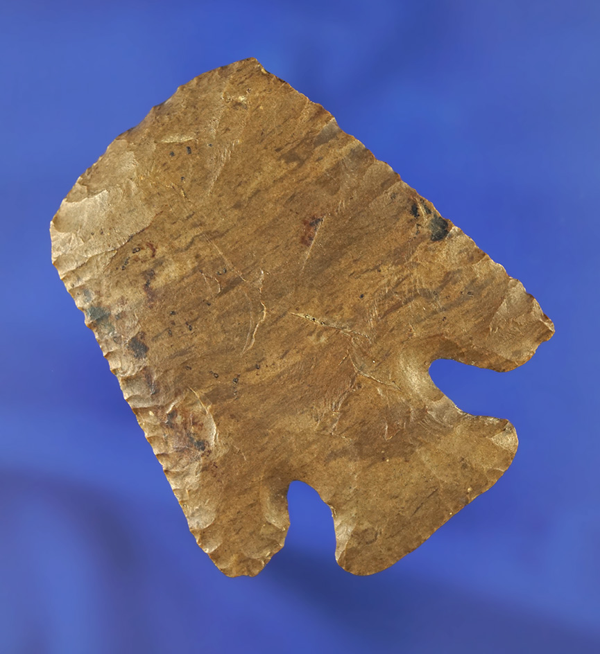 2 3/8" Knobbed Hardin Hafted Scraper in excellent condition made from Dover Flint - Tennessee.