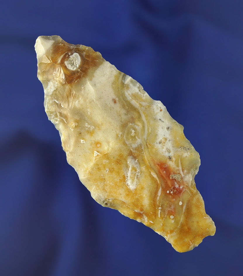 3 5/16" Thonotosassa  made from heat-treated coral - Florida. Pictured in Who's Who #10.