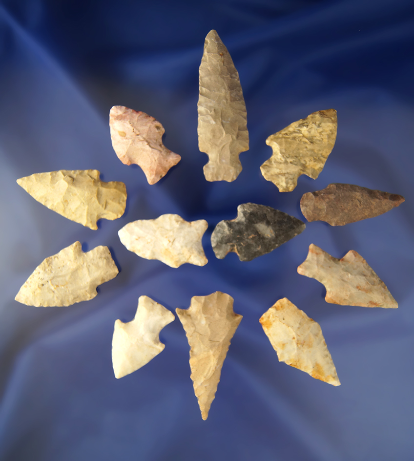 Group of 12 Assorted Wisconsin Points. Largest is 2 1/2".