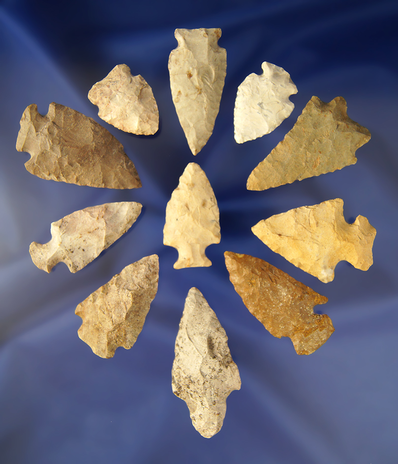 Group of 11 Assorted Wisconsin Points. Largest is 2".