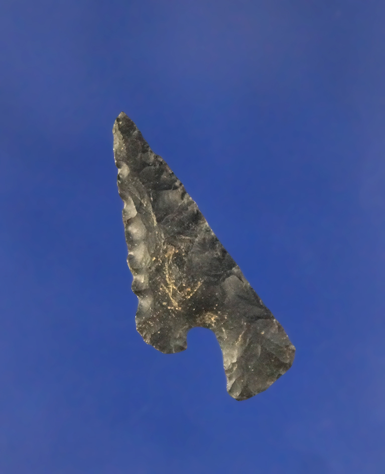 Very unique 1 3/16" half flaked Arrowhead that was intentionally made this way in ancient times,