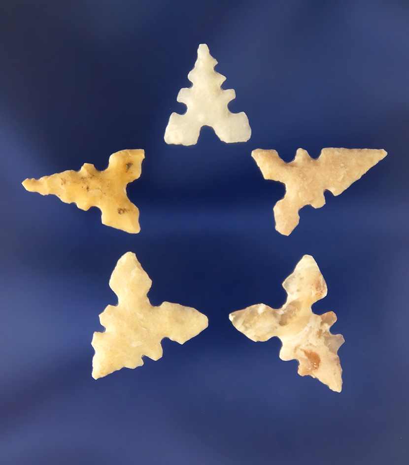 Set of five nicely made Toyah points, largest is 3/4" from the big Bend area, Val Verde Co., Texas.