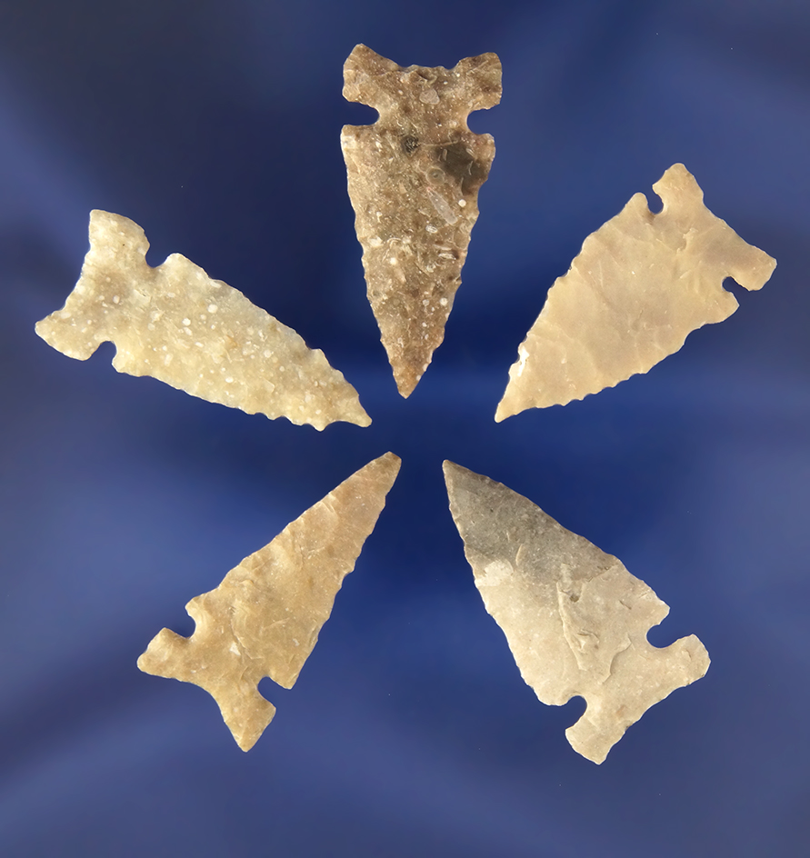 Set of five well styled Arrowheads, largest is 1 3/16" from the big Bend area, Val Verde Co., Texas.