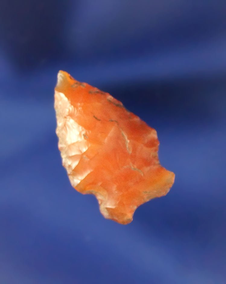 1" Carnelian Agate Snake River found in Alderdale, Washington. Ex. Charles Hall Collection, 1949.