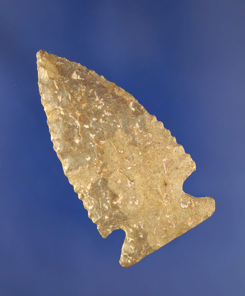 Exceptional flaking and great serrations on this 2 1/4" Archaic Cornernotch. Found  Kentucky.