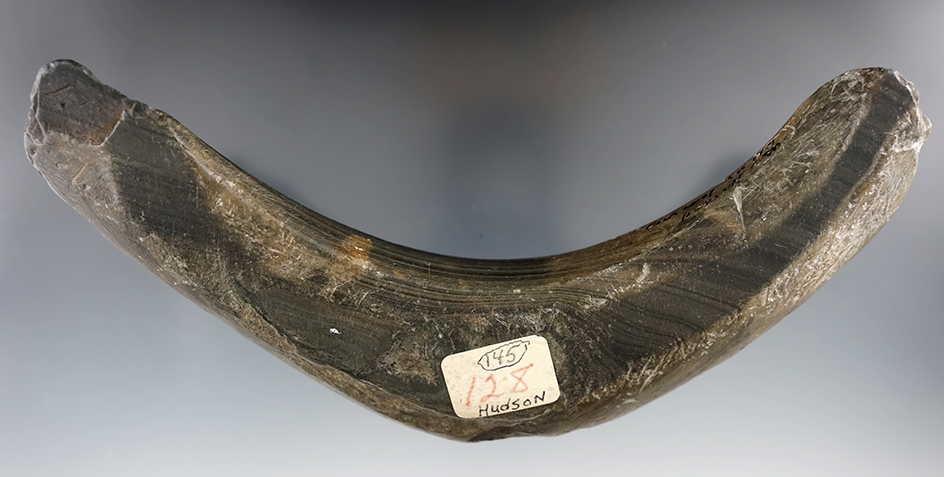 7 1/4" Large Lunate Bannerstone Preform made of banded Slate. Hudson Farm, Pickaway Co., Ohio.