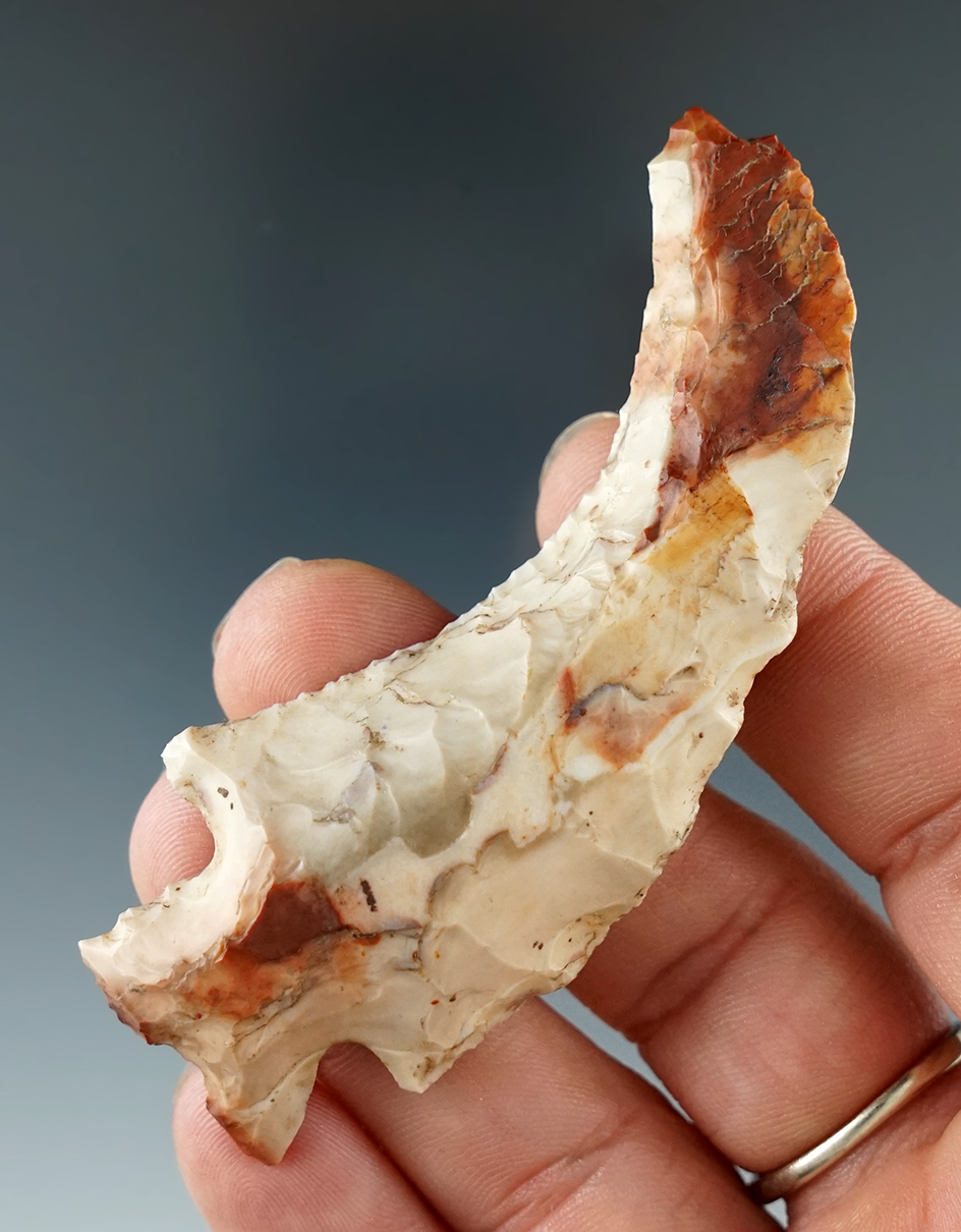 Classic style 2 7/8" Flint Ridge Flint Hafted Shaft Scraper.