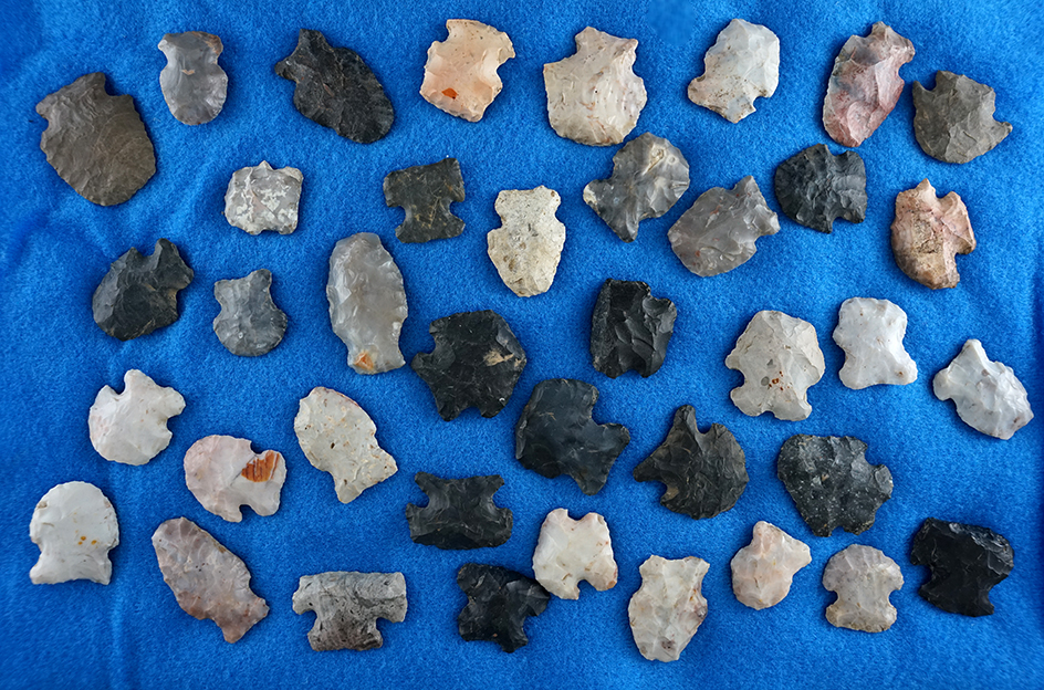 Large group of Hafted Scrapers, largest is 1 1/2".