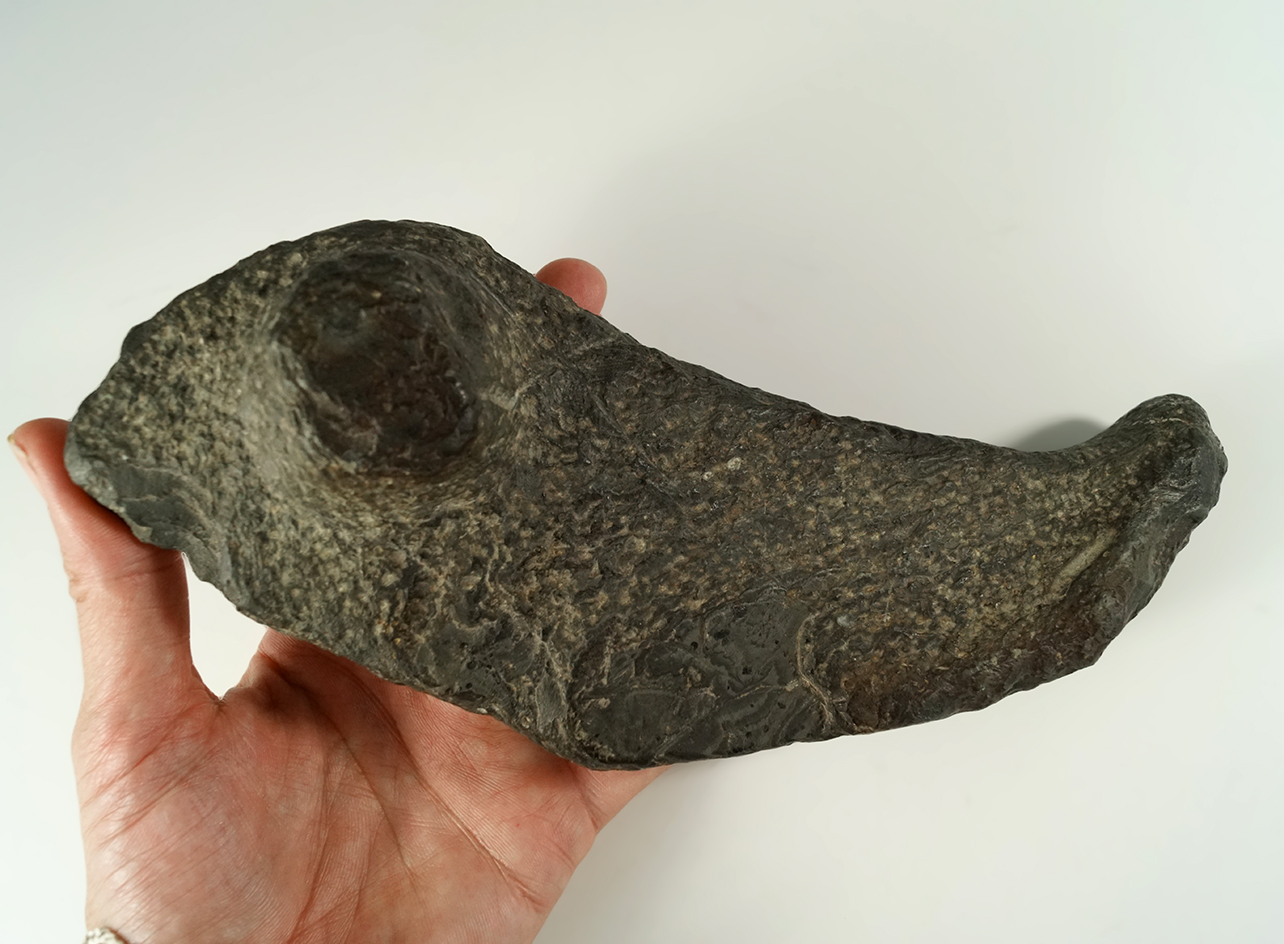 Big! 8 1/2" Birdstone preform found in Ontario Canada. Ex. Kurt Whaley, Greg LaForme collections.