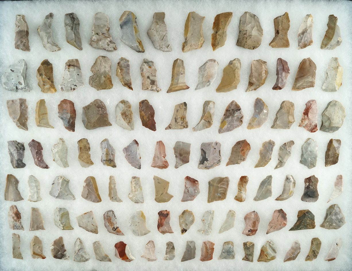 Group of mostly Pipe Creek Flint tools found in north central Ohio, largest is 1 5/8".