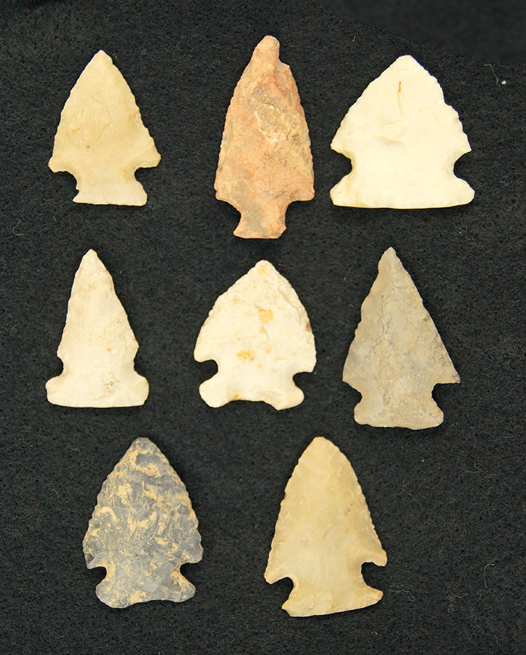 Set of 8 nice Arrowheads, largest is 1 3/4" found in Greenup Co., Kentucky.