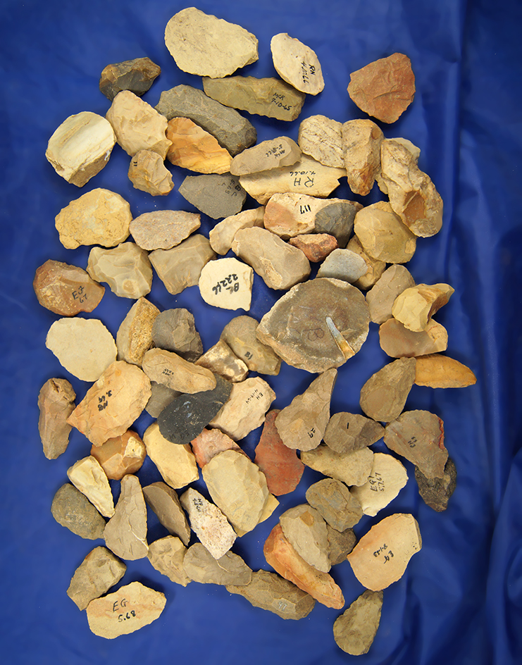 Large group of 75 Thumbnail Scrapers found in Greenup Co., Kentucky.