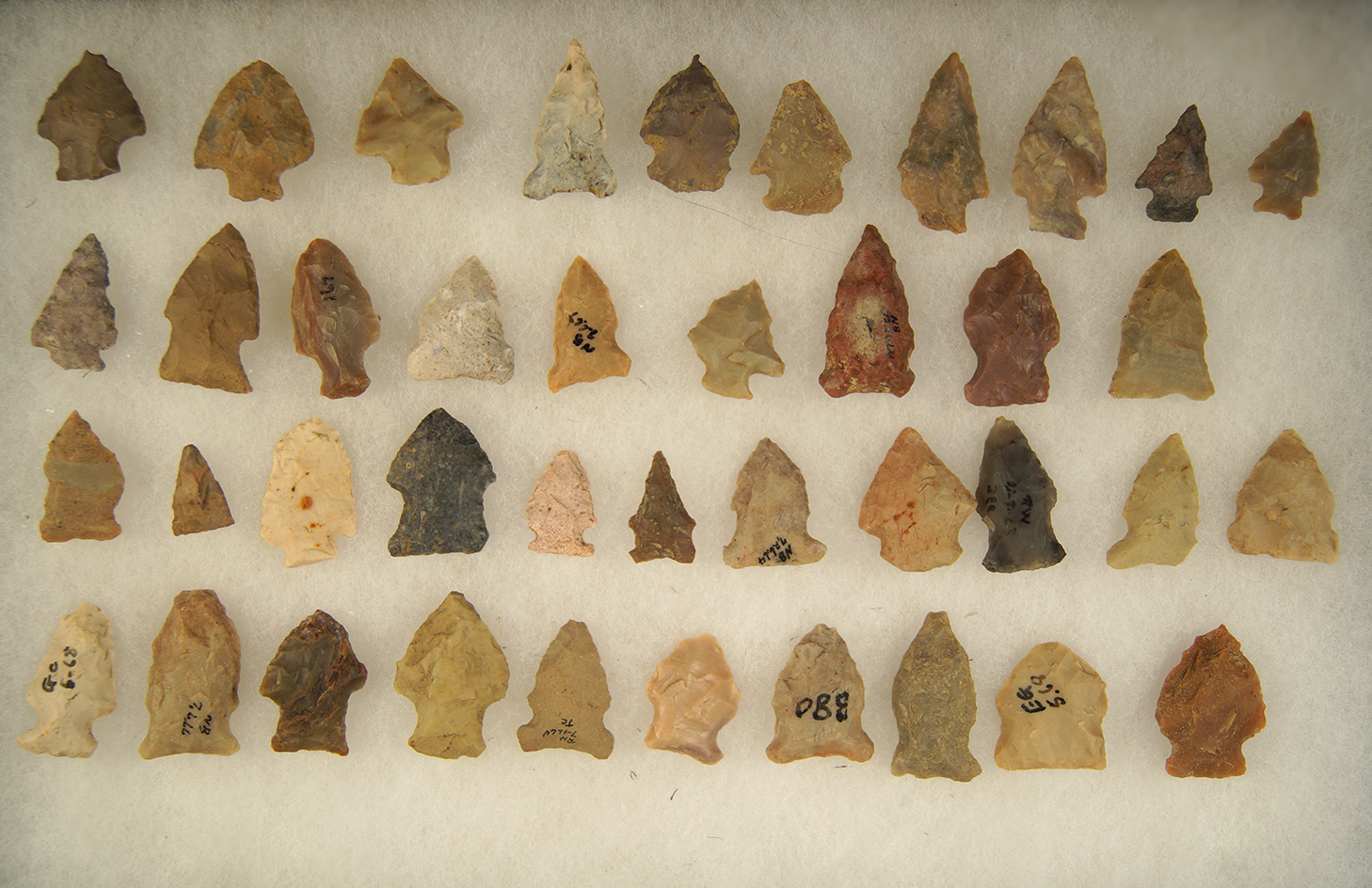 Group of 40 assorted Arrowheads, largest is 1 1/2" found in Greenup Co., Kentucky.