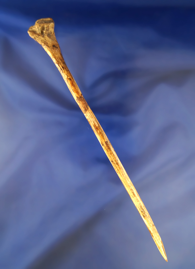 8" Bone Hairpin found at the Fox Field site, Mason County Kentucky.  Pictured on page 176 in Hothem'