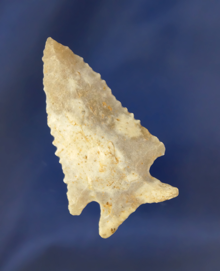 Excellent serrations on this 2 5/16" Kentucky Cornernotch.