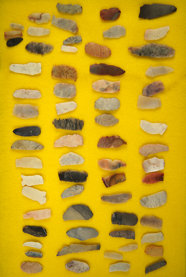 Large group of 66 Flint Ridge Flint Bladelets found in Licking Co., Ohio.  Largest is 2".