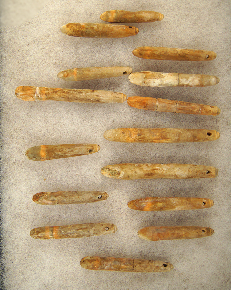 Beautiful set of 15 perforated shell pendants from the Mississippian. Pictured on page 134  in Hothe