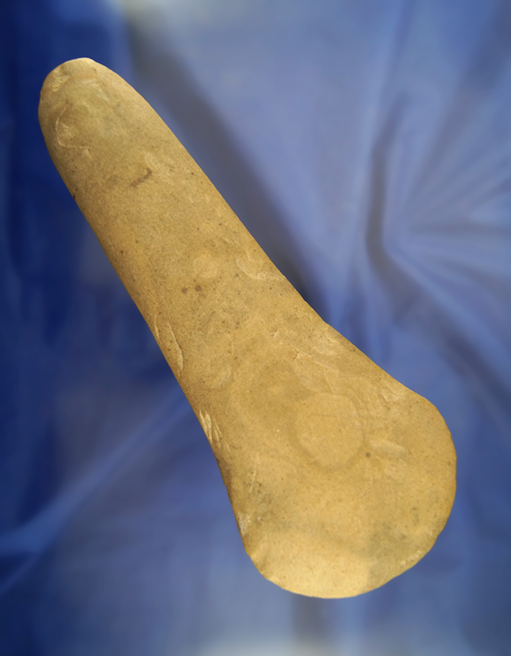 Rare! Large 8 7/8" well polished Spud found in Meade County Kentucky pictured in Who's Who #9
