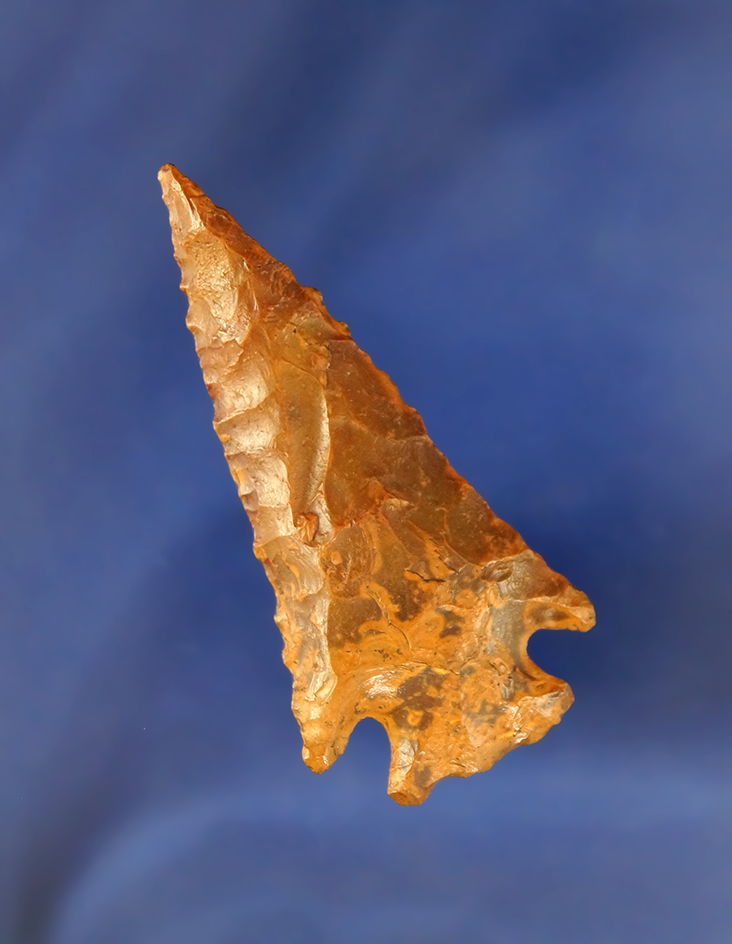 2 1/2" Beautifully river polished Bevel found in Florida.