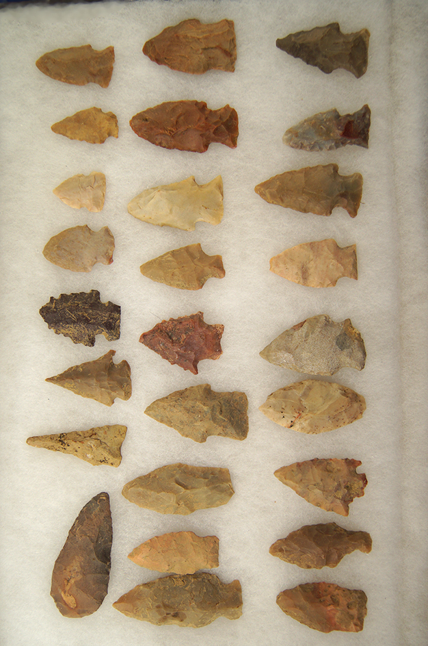 26 assorted Arrowheads, largest is 2 1/4" found in Greenup Co., Kentucky.