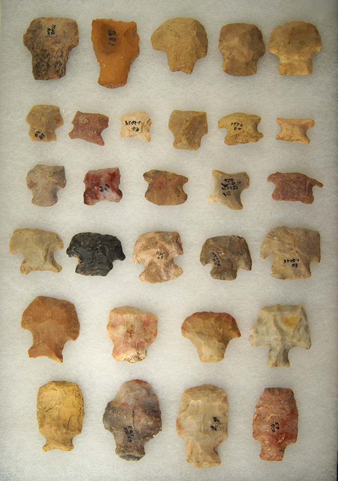 29 Hafted Scrapers, largest is 1 5/8" found in Greenup Co., Kentucky.