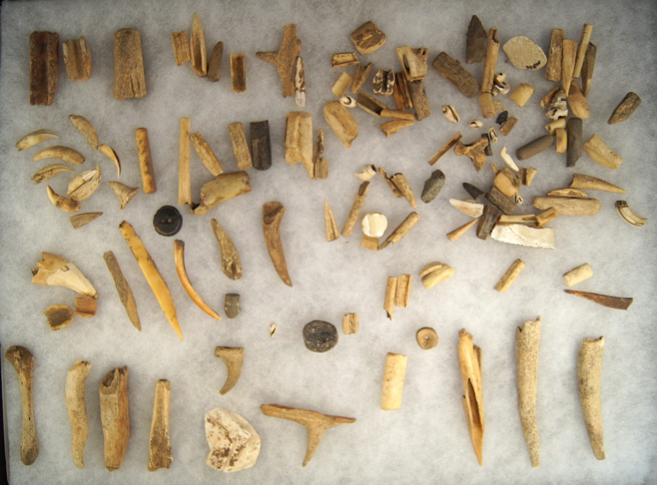 Large group of assorted bone and shell items collected from a Ft. Ancient Site found in Greenup Co.,