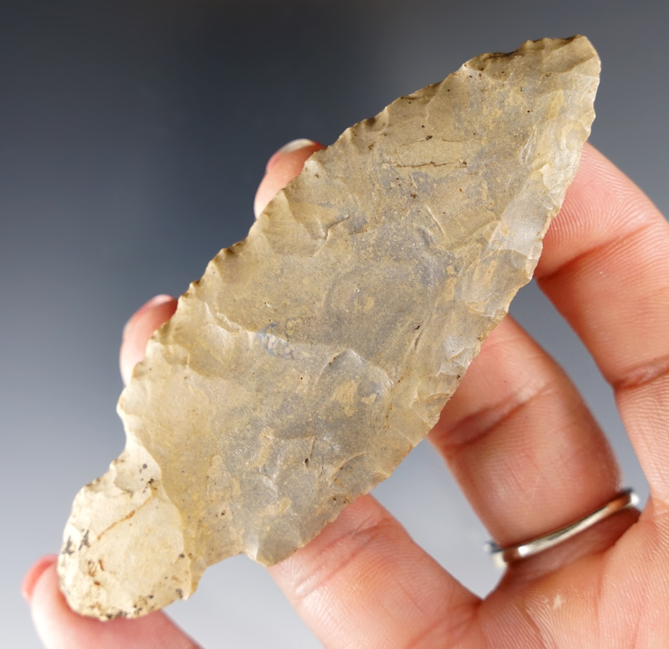 Well patinated 3 11/16"  Turkey Tail variant found in Jay Co., Indiana.