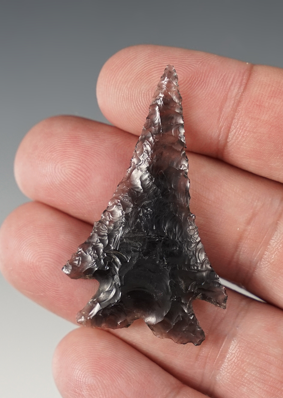 Excellent style on this well flaked 2" translucent obsidian Elko Eared found in Oregon.