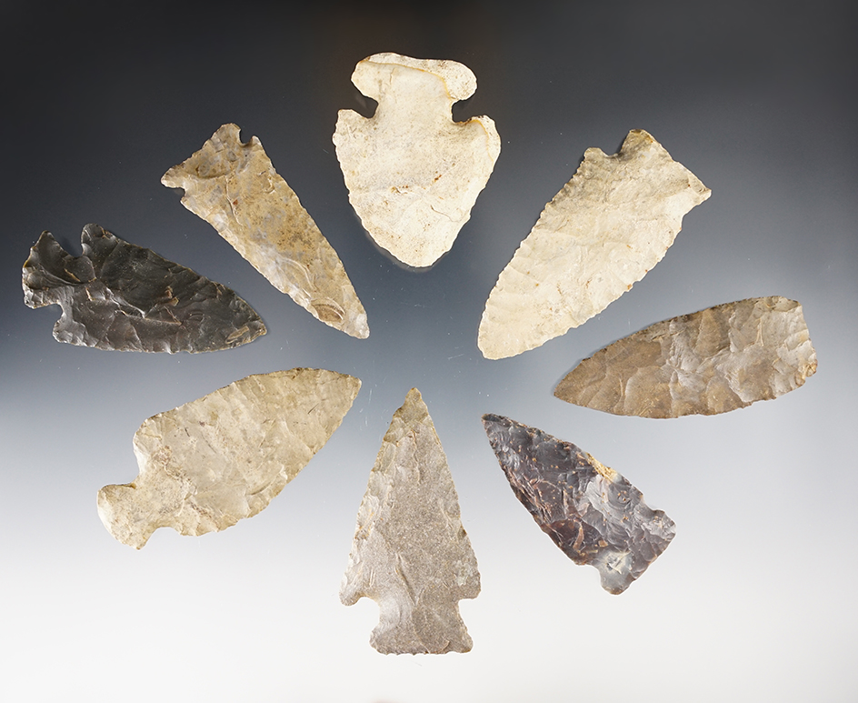 Set of 8 nice assorted points found in Indiana and Michigan. The largest is 2 5/8".