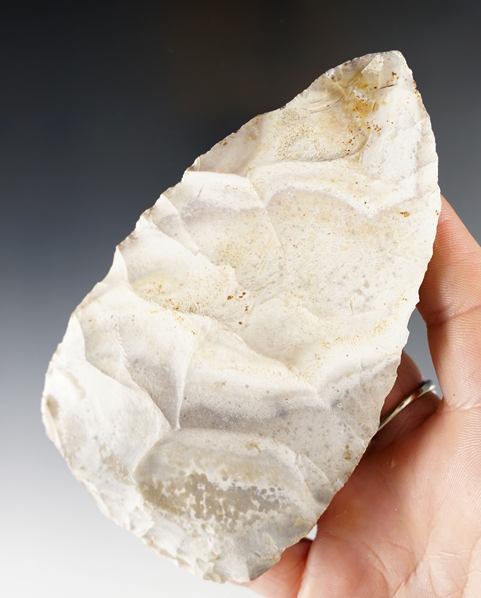 4 3/4" Paleo Blade found in Alachua County Florida.