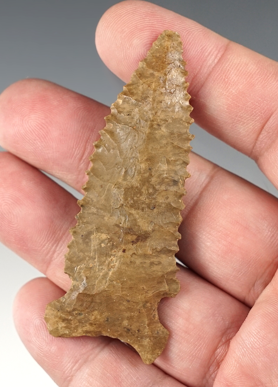 2 13/16" Big Sandy found in Davidson Co., Tennessee. Nicely serrated. Bennett COA.