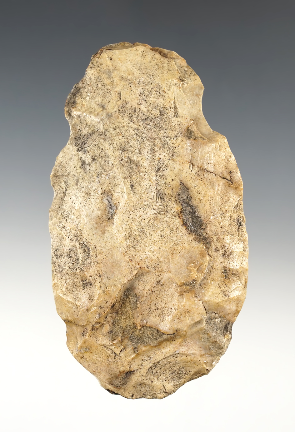 4 3/8" Notched Hoe found in the Midwestern U.S. Very nice use polish to the bit area.