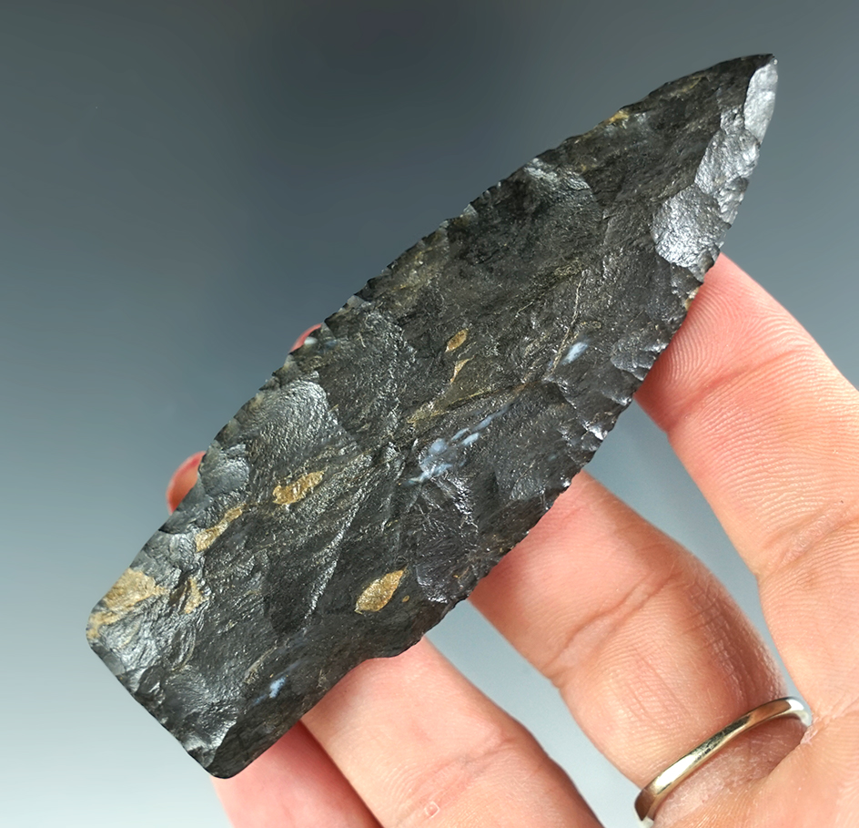 3 1/2" Paleo Hell Gap made from black chert, found in Franklin Co., Nebraska. Rogers COA.