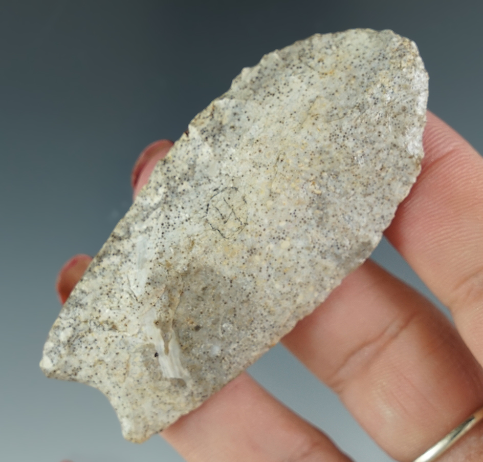 Extremely rare style! 2 11/16" Paleo Goshen made from Oolitic Mozarkite Chert. Missouri. COA's.