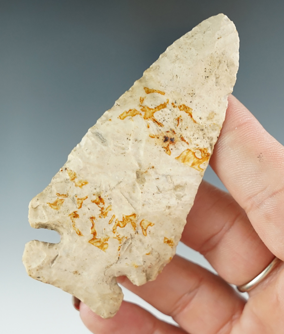 3 1/4" Archaic Thebes Bevel that was glued to an old board, found in Indiana.