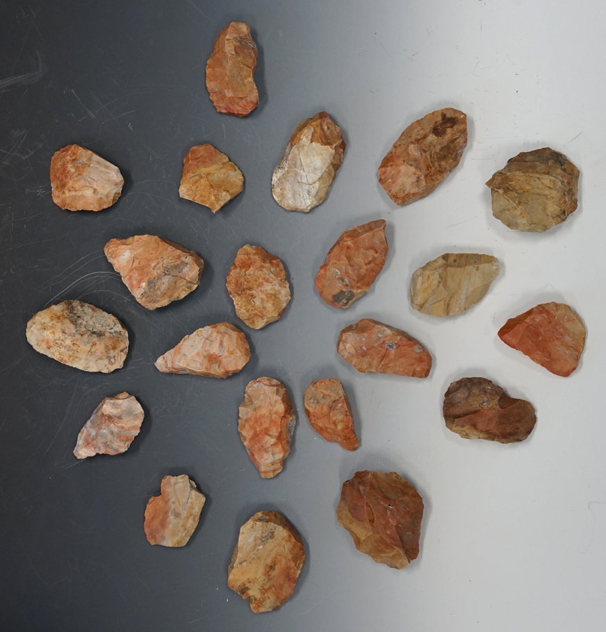 21 Blanks, largest is 4 3/16" from the Gray LaDassor cache of 401 cache blanks - Crescent Quarry.