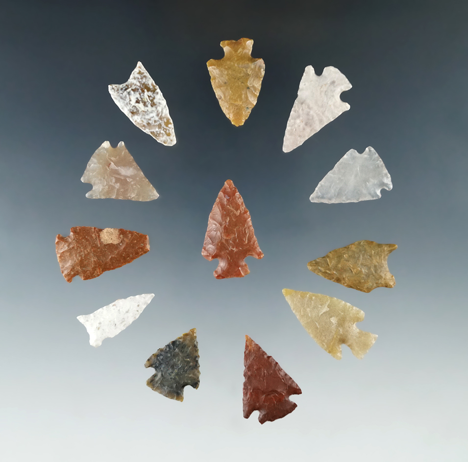 Set of 12 Colorado Arrowheads, largest is 1 3/16". Ex. Bob Roth Collection.