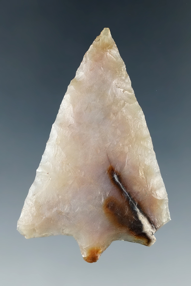 2 5/16" Hillsborough point made from nicely translucent heat-treated Agatized coral - Florida.