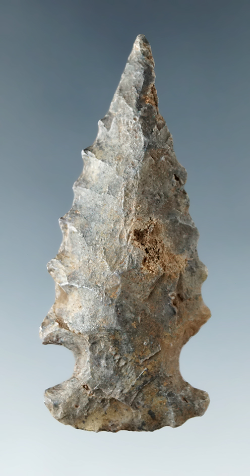 2 1/8" nicely serrated Bolen Bevel found in northern Florida.