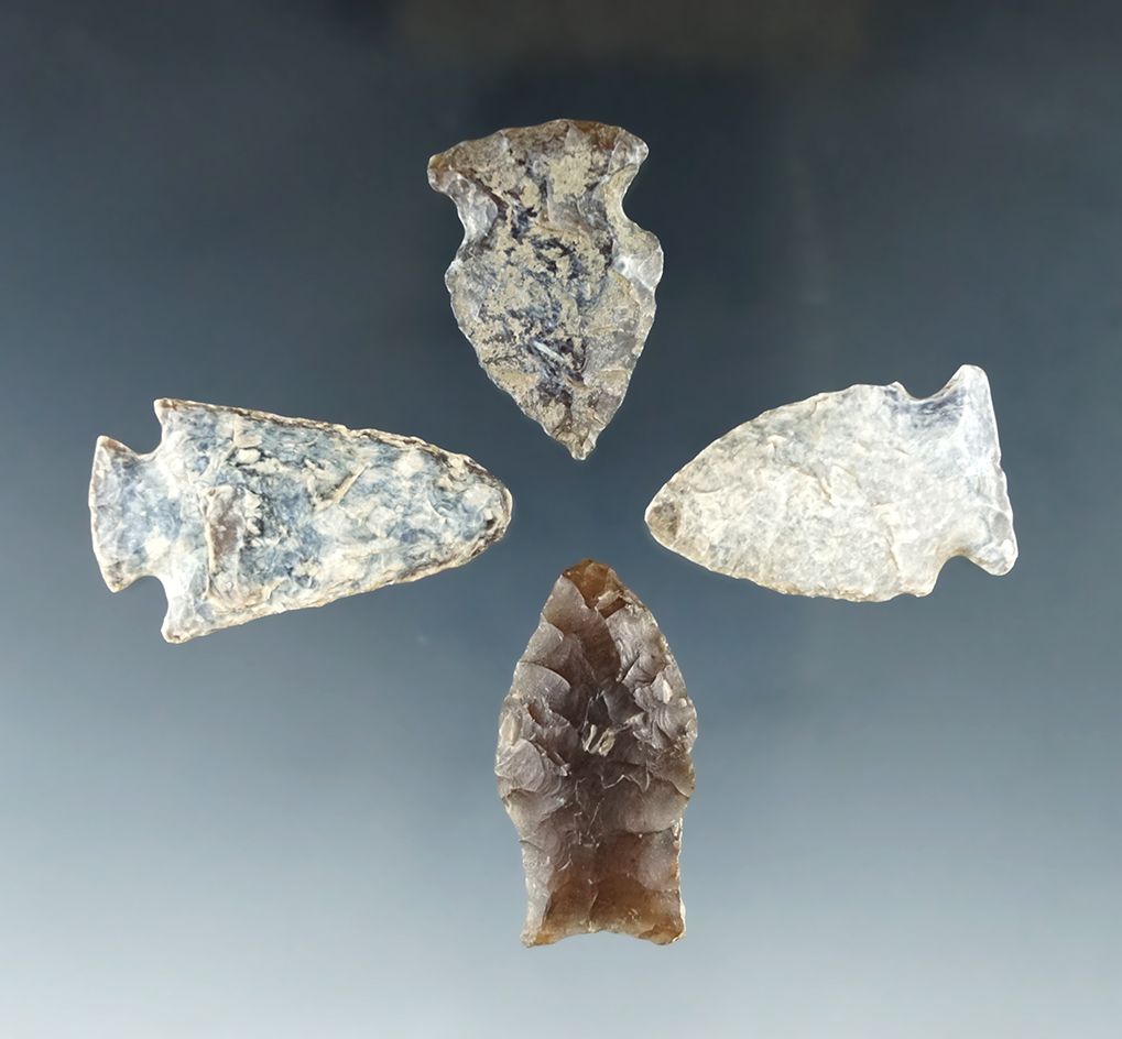 Set of four arrowheads found in the Dakotas, largest is 1 1/2".