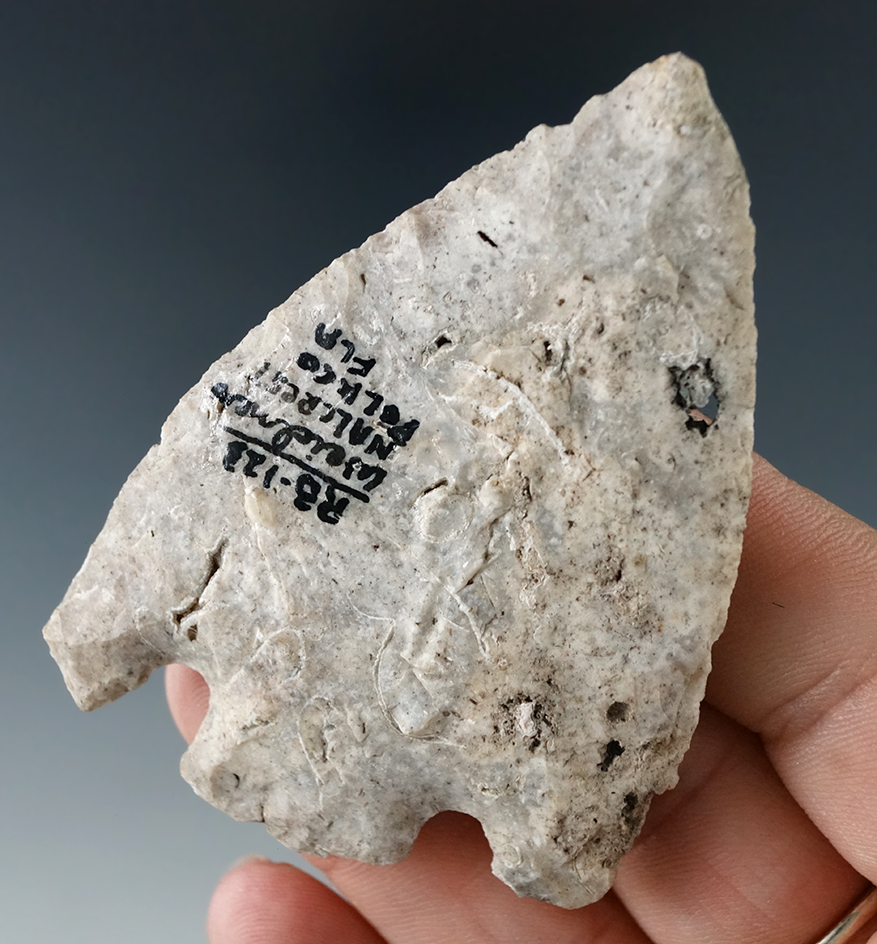 2 11/16" Basal Notch found in Polk Co., Florida. From the old Robert Barr collection.