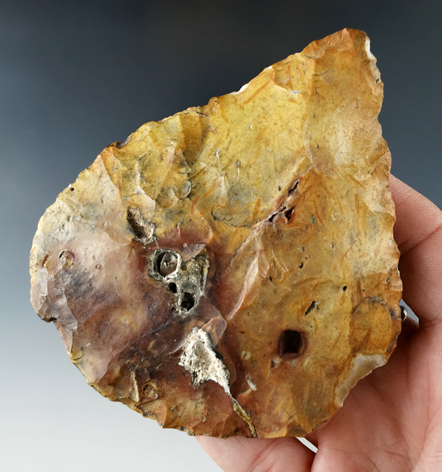 Heavily patinated 3 13/16" Blade found near the Santa Fe River in Alachua Co., Florida.