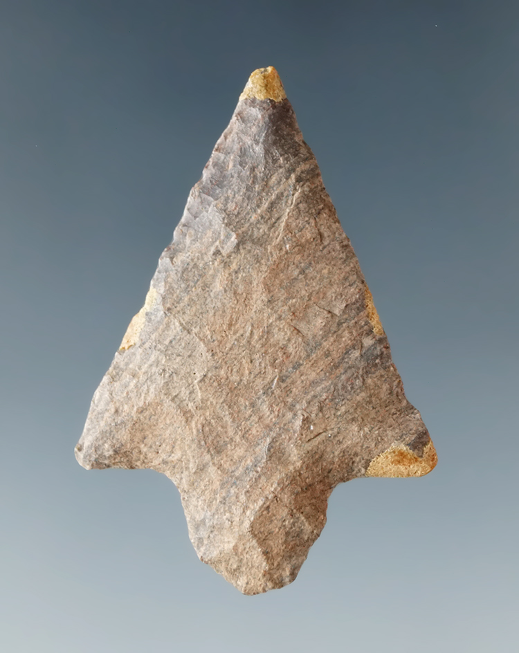 1 5/8" Alba point found in the OK/LA/AR area. Comes with a Jackson COA. Ex. Museum!