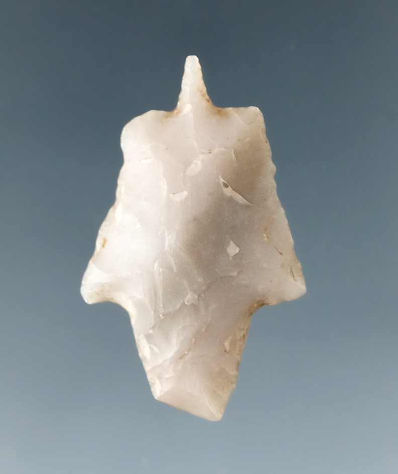 Exceptional 1 1/4" perforator. Part of a group found along the Red and little Missouri rivers.